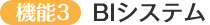 BIシステム