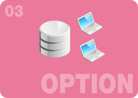 BIシステム